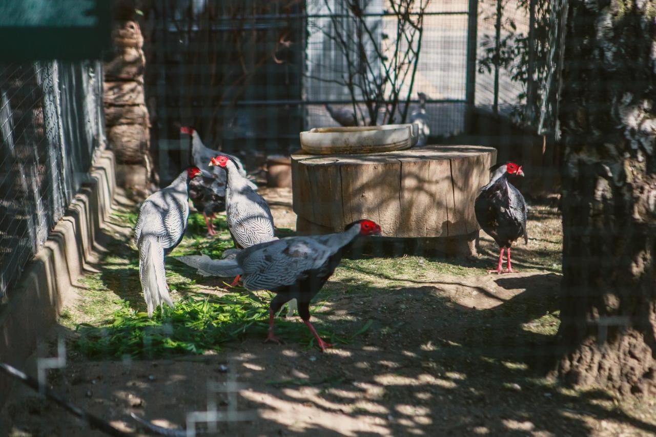 Eurohotel Swarzędz Dış mekan fotoğraf